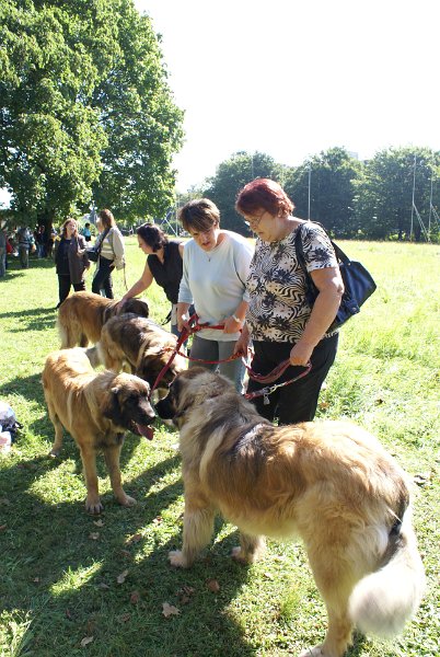 Nachzuchttreffen 08_08 055.jpg - Familie Gall komplett mit Hunden